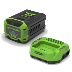 vendita online Starter kit k6s4aea batteria 4ah 60v + caricabatteria Ricambi per macchine da giardino e accessori Greenworks